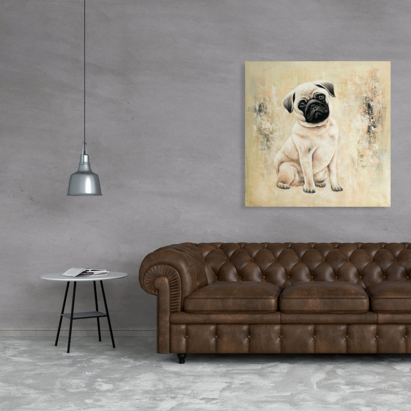 Small Pug Dog, Fine art gallery wrapped canvas 24x36
