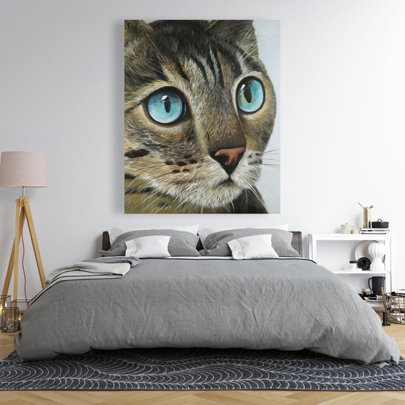 Curious Cat Portrait, Fine art gallery wrapped canvas 36x36