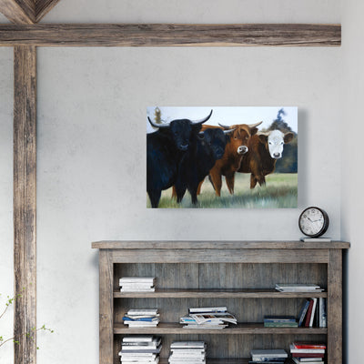 Four Highland Cows, Fine art gallery wrapped canvas 24x36