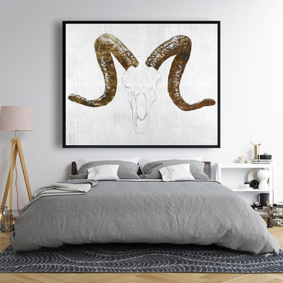 Aeries Skull With Brown Horns, Fine art gallery wrapped canvas 36x36