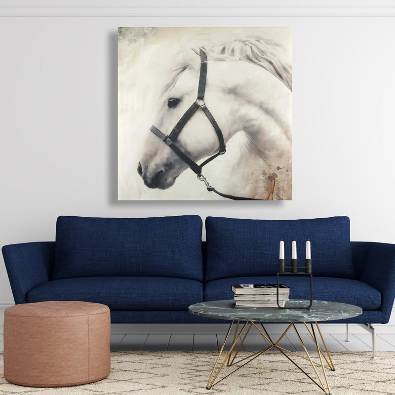 Darius The White Horse, Fine art gallery wrapped canvas 24x36