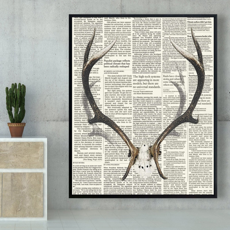Deer Horns With Newspaper, Fine art gallery wrapped canvas 24x36
