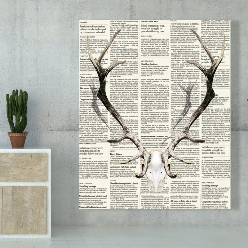 Deer Horns On Newspaper, Fine art gallery wrapped canvas 24x36
