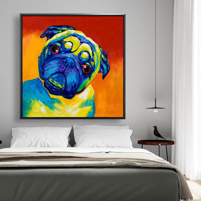 Curious Pug, Fine art gallery wrapped canvas 36x36