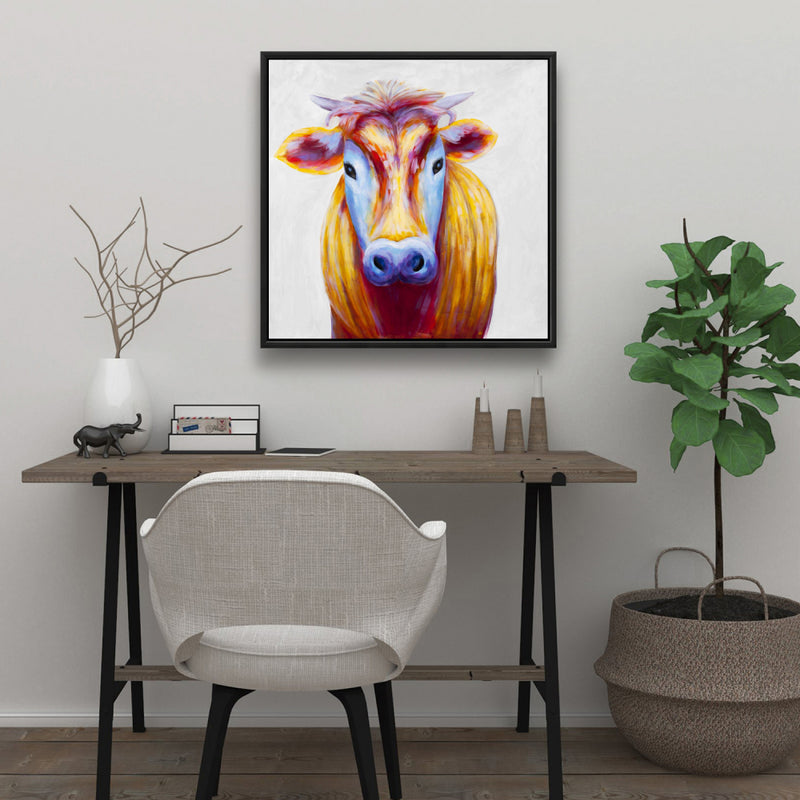 Colorful Country Cow, Fine art gallery wrapped canvas 36x36