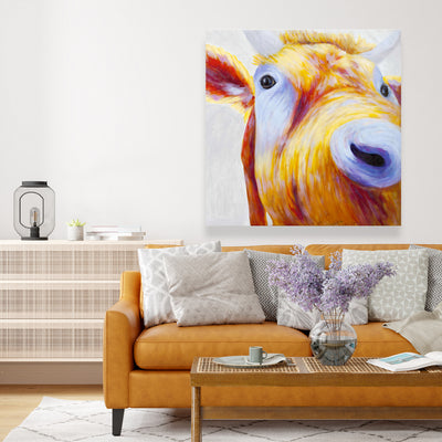 Closeup Of A Colorful Country Cow, Fine art gallery wrapped canvas 36x36