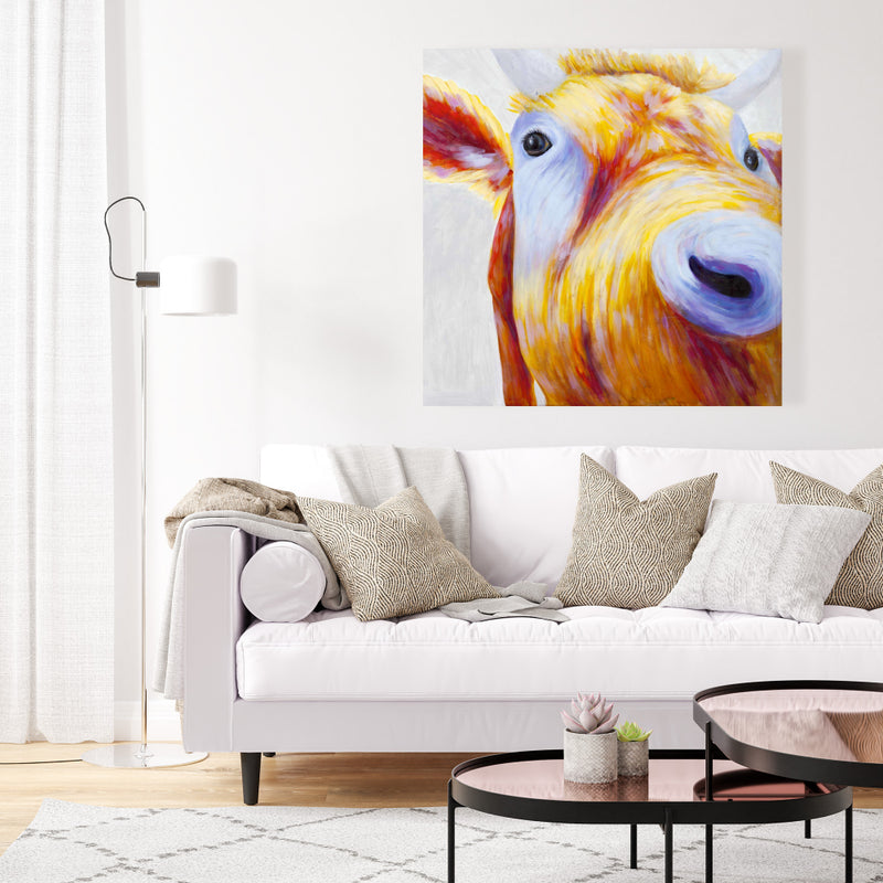 Closeup Of A Colorful Country Cow, Fine art gallery wrapped canvas 36x36