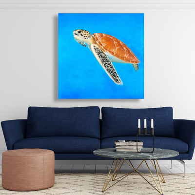 Sea Turtle, Fine art gallery wrapped canvas 36x36