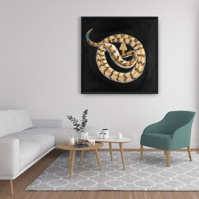 Southern Timber Rattlesnake, Fine art gallery wrapped canvas 36x36