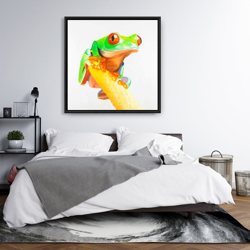 Curious Red Eyed Frog, Fine art gallery wrapped canvas 24x36
