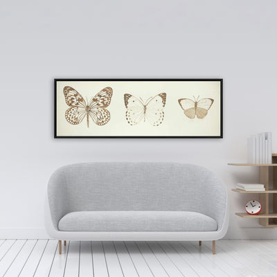 Sepia Butterflies, Fine art gallery wrapped canvas 16x48