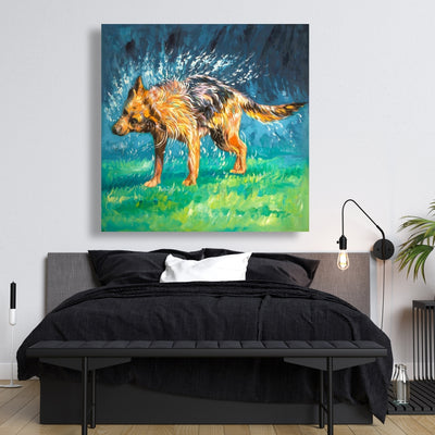 Spin-Dry Wet German Shepherd, Fine art gallery wrapped canvas 24x36