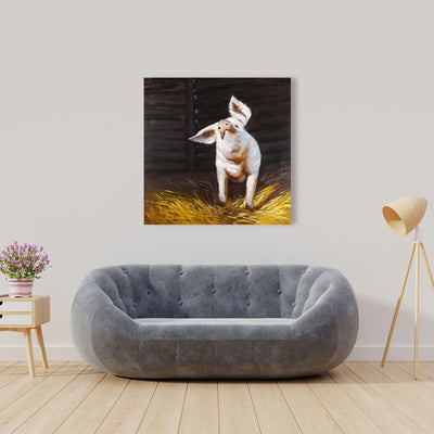 Happy Pig, Fine art gallery wrapped canvas 24x36