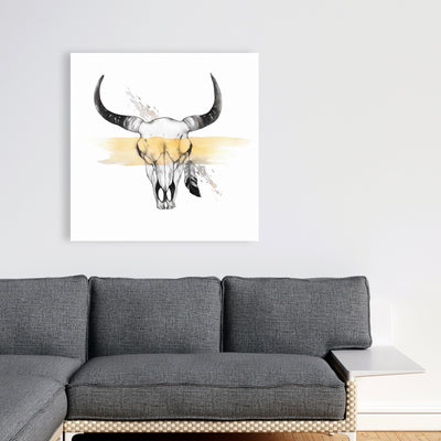Cow Skull With Feather, Fine art gallery wrapped canvas 24x36