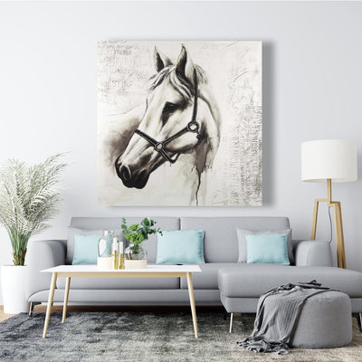 Flicka The White Horse, Fine art gallery wrapped canvas 24x36