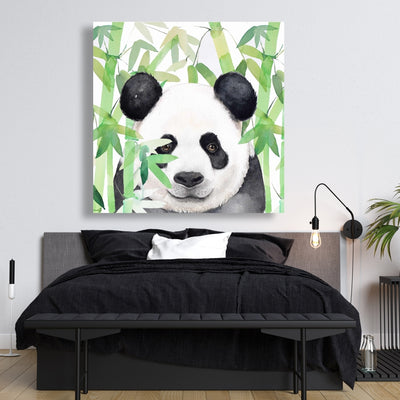 Hidden Panda In Bamboo, Fine art gallery wrapped canvas 36x36