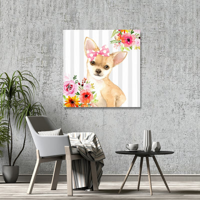 Chihuahua Dog, Fine art gallery wrapped canvas 36x36