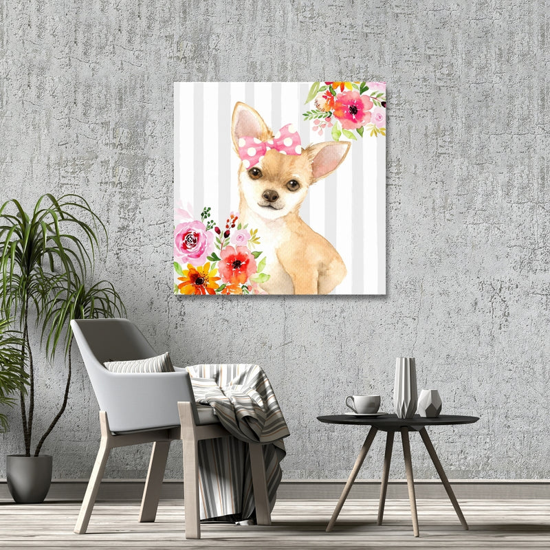 Chihuahua Dog, Fine art gallery wrapped canvas 36x36