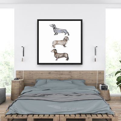 Small Dachshund Dog, Fine art gallery wrapped canvas 24x36