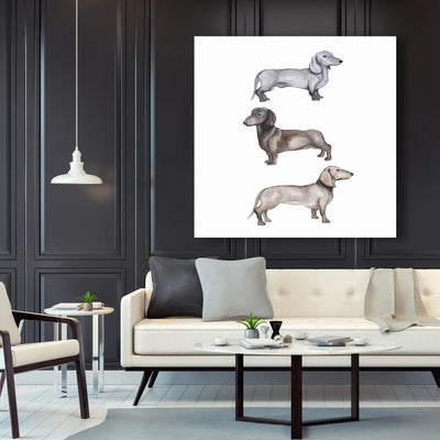 Dachshund Dogs, Fine art gallery wrapped canvas 24x36