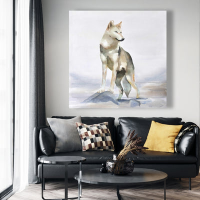 Wolf, Fine art gallery wrapped canvas 36x36