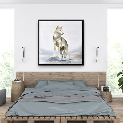 Wolf, Fine art gallery wrapped canvas 36x36