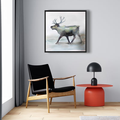 Caribou, Fine art gallery wrapped canvas 36x36
