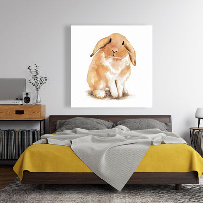 Lop-Rabbit, Fine art gallery wrapped canvas 24x36