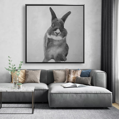 Funny Gray Rabbit, Fine art gallery wrapped canvas 24x36