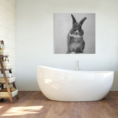 Funny Gray Rabbit, Fine art gallery wrapped canvas 24x36