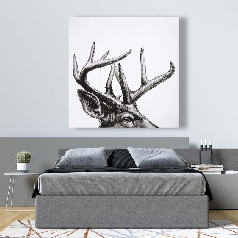 Roe Deer Plume, Fine art gallery wrapped canvas 16x48