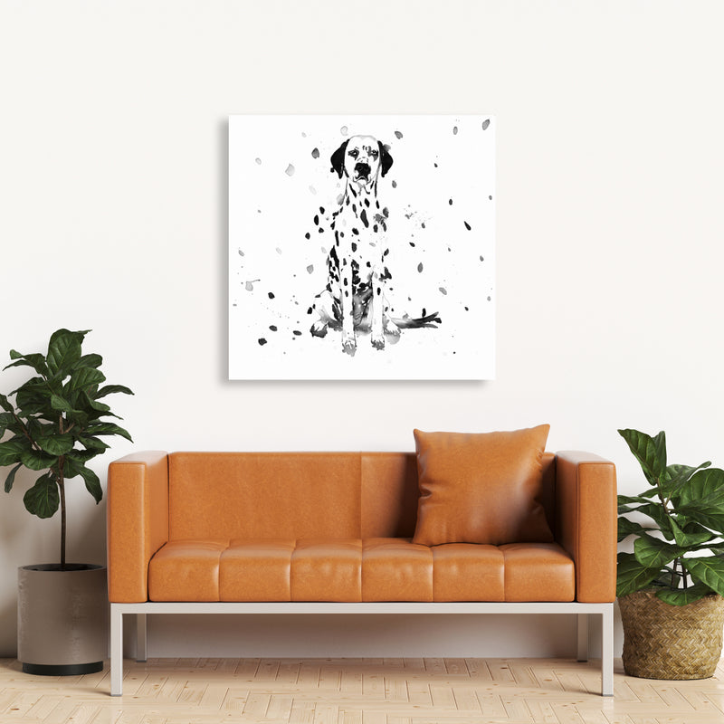 Dalmatian Dog, Fine art gallery wrapped canvas 24x36