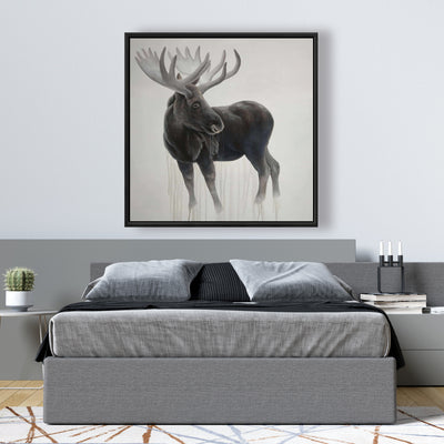 Bull Moose, Fine art gallery wrapped canvas 36x36