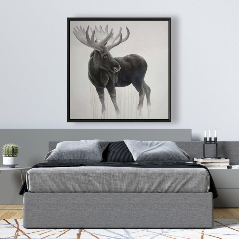 Bull Moose, Fine art gallery wrapped canvas 36x36