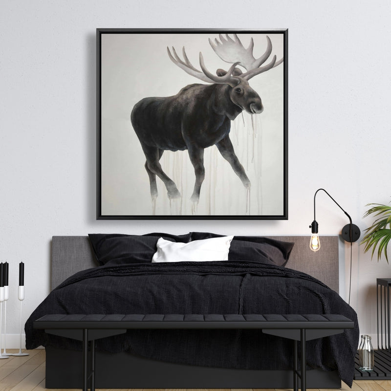 Walking Moose , Fine art gallery wrapped canvas 36x36