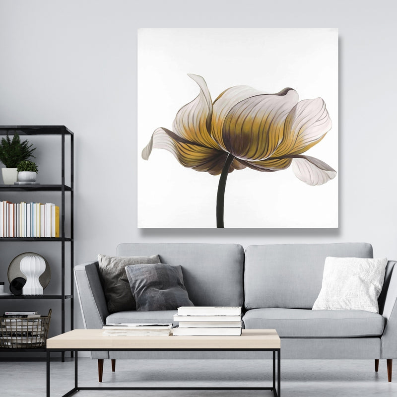 Yellow Anemone Flower, Fine art gallery wrapped canvas 36x36