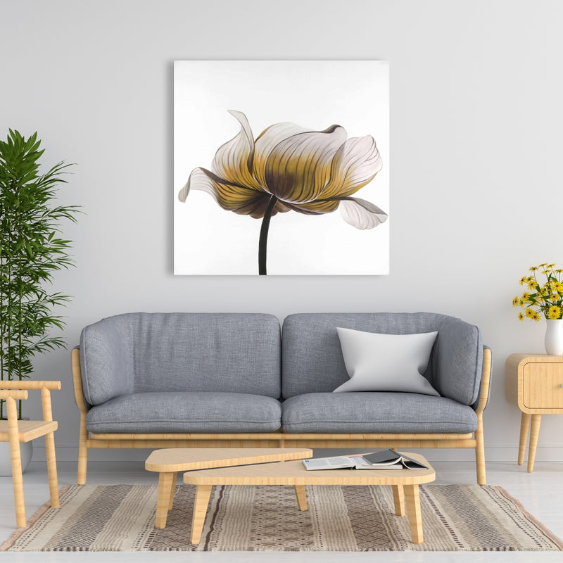 Yellow Anemone Flower, Fine art gallery wrapped canvas 36x36