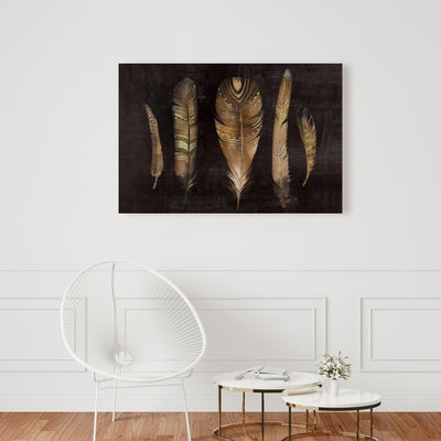 Brown Feather Set, Fine art gallery wrapped canvas 24x36