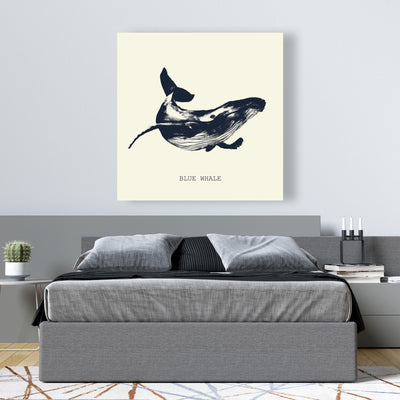 Blue Whale Sketch, Fine art gallery wrapped canvas 24x36