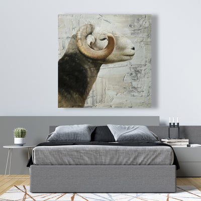 Aries, Fine art gallery wrapped canvas 36x36