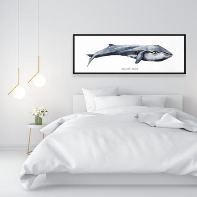 Whale, Fine art gallery wrapped canvas 16x48