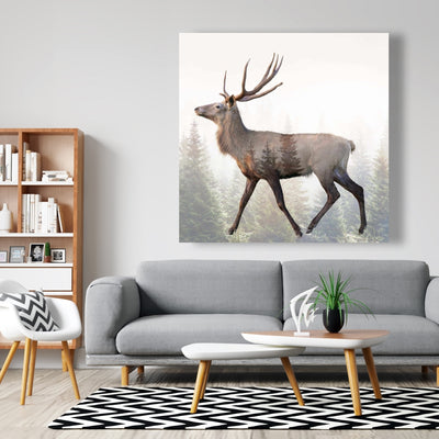 Large Plume Roe Deer, Fine art gallery wrapped canvas 36x36