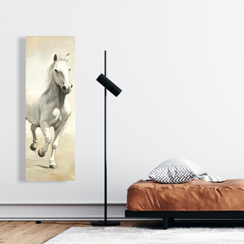 Gallant White Horse, Fine art gallery wrapped canvas 16x48