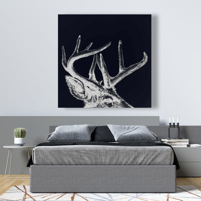 Blue Roe Deer Plume, Fine art gallery wrapped canvas 24x36