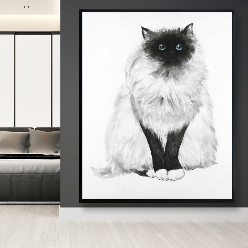 Blue Eyes Fluffy Siamese Cat, Fine art gallery wrapped canvas 24x36