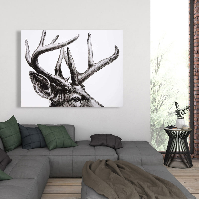 Roe Deer Plume, Fine art gallery wrapped canvas 16x48