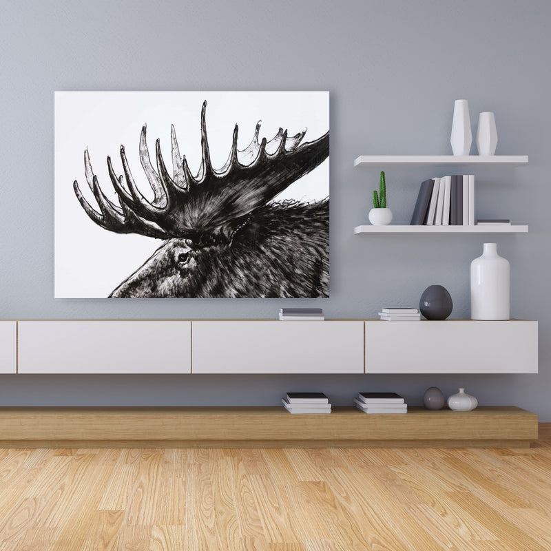 Moose Plume, Fine art gallery wrapped canvas 16x48