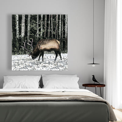 Caribou In The Forest, Fine art gallery wrapped canvas 36x36