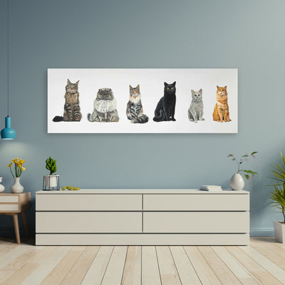 Six Cats Lined Up, Fine art gallery wrapped canvas 16x48