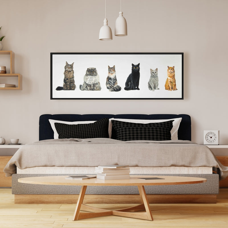 Six Cats Lined Up, Fine art gallery wrapped canvas 16x48